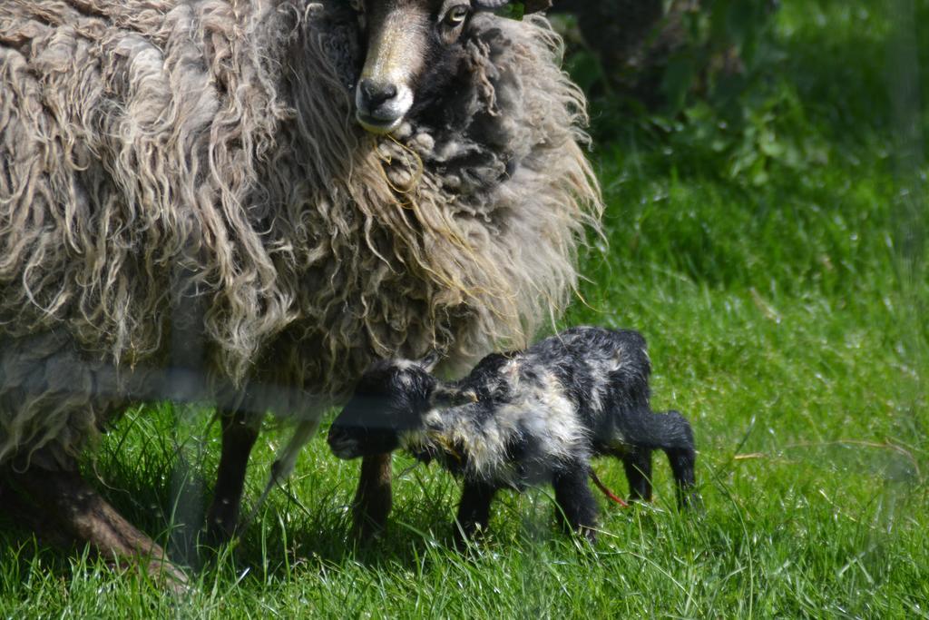 Mourits Hoeve Woerden Buitenkant foto