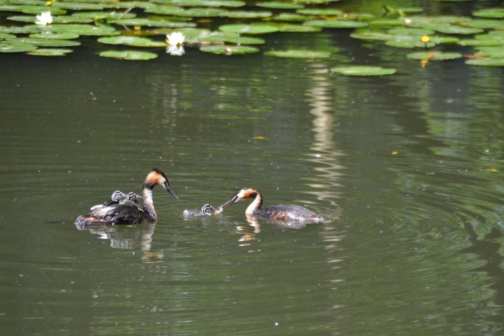 Mourits Hoeve Woerden Buitenkant foto